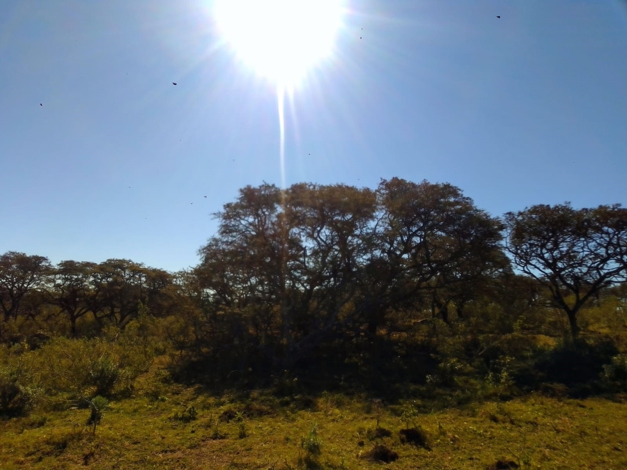 0 Bedroom Property for Sale in Stutterheim Rural Eastern Cape